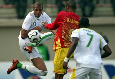 安达卢西亚西班牙马以战马天赋闻名欧洲数世纪（西班牙安达卢西亚马凭战马天赋名震欧洲数百年）