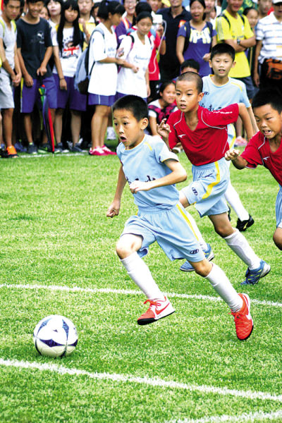 意甲主席：联盟将尽一切可能支持国家队，俱乐部会配合集训（意甲主席：联赛将竭尽所能支持国家队，俱乐部将配合集训安排）